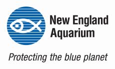 NEA logo